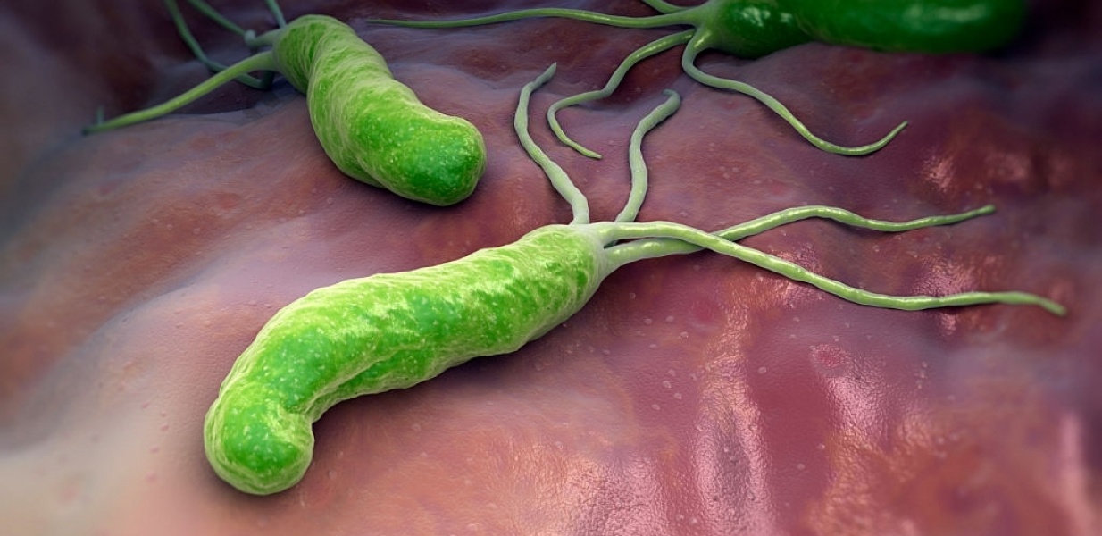 O que é a H. pylori? E por que se preocupar?