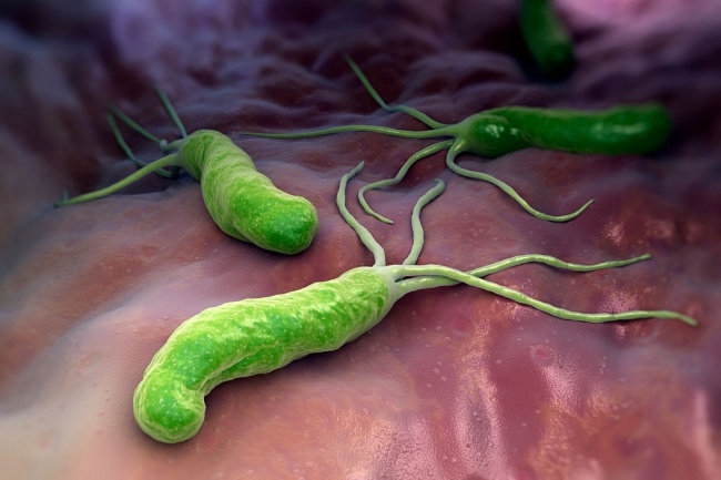 O que é a H. pylori? E por que se preocupar?