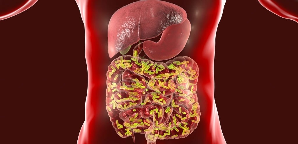 SIBO: quando o crescimento bacteriano intestinal se torna um problema.