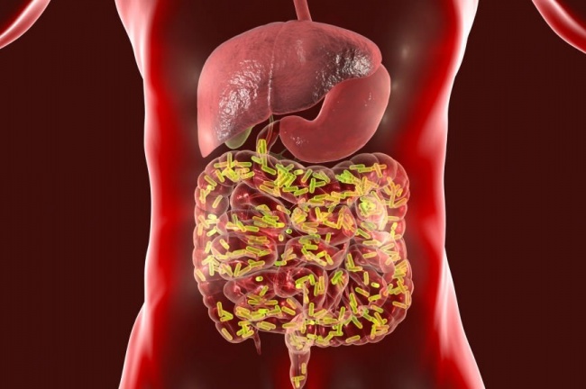 SIBO: quando o crescimento bacteriano intestinal se torna um problema.